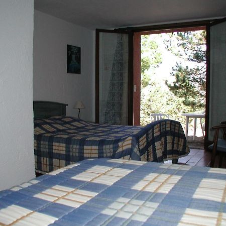 Chambres D'Hote L'Amandiere A Cucugnan Eksteriør billede