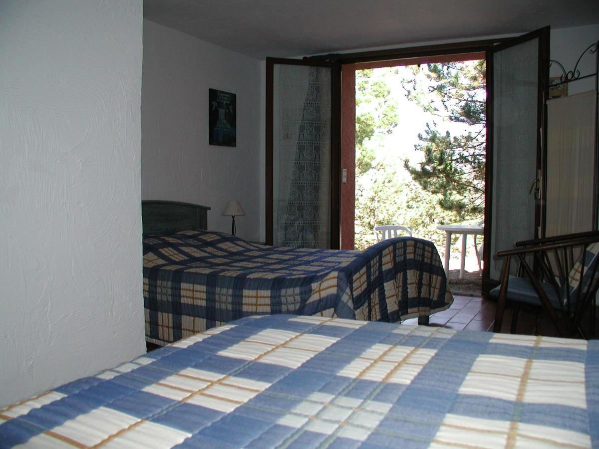 Chambres D'Hote L'Amandiere A Cucugnan Eksteriør billede